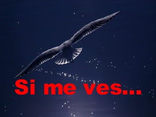 Si me ves... 