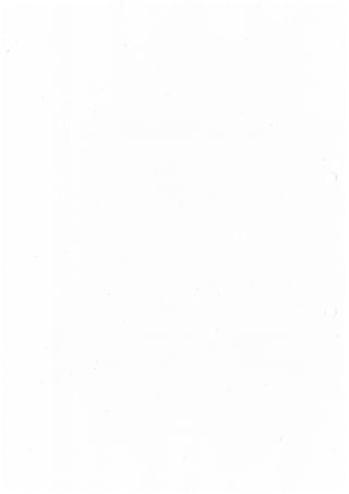 Cuncurso Público para a Concessão de Licença Municipal de Uso Privativo para Implantação de Quiosques e Esplanadas Estivais - 2013