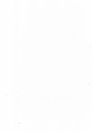 Cuncurso Público para a Concessão de Licença Municipal de Uso Privativo para Implantação de Quiosques e Esplanadas Estivais - 2013