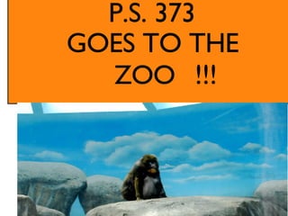 GOES TO THE ZOO  !!! P.S. 373 