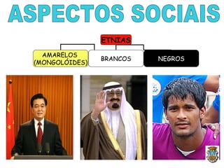 ETNIAS
AMARELOS
(MONGOLÓIDES)
BRANCOS NEGROS
 