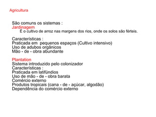Agricultura
São comuns os sistemas :
Jardinagem
É o cultivo de arroz nas margens dos rios, onde os solos são férteis.
Características :
Praticada em pequenos espaços (Cultivo intensivo)
Uso de adubos orgânicos
Mão - de - obra abundante
Plantation
Sistema introduzido pelo colonizador
Características :
Praticada em latifúndios
Uso de mão - de - obra barata
Comércio externo
Produtos tropicais (cana - de - açúcar, algodão)
Dependência do comércio externo
 