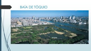 BAÍA DE TÓQUIO
 
