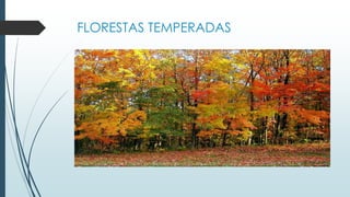 FLORESTAS TEMPERADAS
 