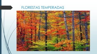 FLORESTAS TEMPERADAS
 