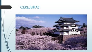 CEREJEIRAS
 