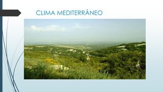 CLIMA MEDITERRÂNEO
 