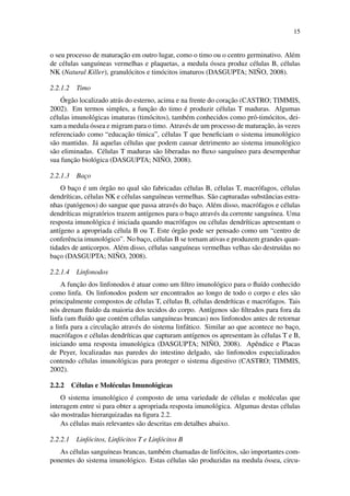 15
o seu processo de maturac¸˜ao em outro lugar, como o timo ou o centro germinativo. Al´em
de c´elulas sangu´ıneas vermelhas e plaquetas, a medula ´ossea produz c´elulas B, c´elulas
NK (Natural Killer), granul´ocitos e tim´ocitos imaturos (DASGUPTA; NI ˜NO, 2008).
2.2.1.2 Timo
´Org˜ao localizado atr´as do esterno, acima e na frente do corac¸˜ao (CASTRO; TIMMIS,
2002). Em termos simples, a func¸˜ao do timo ´e produzir c´elulas T maduras. Algumas
c´elulas imunol´ogicas imaturas (tim´ocitos), tamb´em conhecidos como pr´o-tim´ocitos, dei-
xam a medula ´ossea e migram para o timo. Atrav´es de um processo de maturac¸˜ao, `as vezes
referenciado como “educac¸˜ao t´ımica”, c´elulas T que beneﬁciam o sistema imunol´ogico
s˜ao mantidas. J´a aquelas c´elulas que podem causar detrimento ao sistema imunol´ogico
s˜ao eliminadas. C´elulas T maduras s˜ao liberadas no ﬂuxo sangu´ıneo para desempenhar
sua func¸˜ao biol´ogica (DASGUPTA; NI ˜NO, 2008).
2.2.1.3 Bac¸o
O bac¸o ´e um ´org˜ao no qual s˜ao fabricadas c´elulas B, c´elulas T, macr´ofagos, c´elulas
dendr´ıticas, c´elulas NK e c´elulas sangu´ıneas vermelhas. S˜ao capturadas substˆancias estra-
nhas (pat´ogenos) do sangue que passa atrav´es do bac¸o. Al´em disso, macr´ofagos e c´elulas
dendr´ıticas migrat´orios trazem ant´ıgenos para o bac¸o atrav´es da corrente sangu´ınea. Uma
resposta imunol´ogica ´e iniciada quando macr´ofagos ou c´elulas dendr´ıticas apresentam o
ant´ıgeno a apropriada c´elula B ou T. Este ´org˜ao pode ser pensado como um “centro de
conferˆencia imunol´ogico”. No bac¸o, c´elulas B se tornam ativas e produzem grandes quan-
tidades de anticorpos. Al´em disso, c´elulas sangu´ıneas vermelhas velhas s˜ao destru´ıdas no
bac¸o (DASGUPTA; NI ˜NO, 2008).
2.2.1.4 Linfonodos
A func¸˜ao dos linfonodos ´e atuar como um ﬁltro imunol´ogico para o ﬂu´ıdo conhecido
como linfa. Os linfonodos podem ser encontrados ao longo de todo o corpo e eles s˜ao
principalmente compostos de c´elulas T, c´elulas B, c´elulas dendr´ıticas e macr´ofagos. Tais
n´os drenam ﬂu´ıdo da maioria dos tecidos do corpo. Ant´ıgenos s˜ao ﬁltrados para fora da
linfa (um ﬂu´ıdo que cont´em c´elulas sangu´ıneas brancas) nos linfonodos antes de retornar
a linfa para a circulac¸˜ao atrav´es do sistema linf´atico. Similar ao que acontece no bac¸o,
macr´ofagos e c´elulas dendr´ıticas que capturam ant´ıgenos os apresentam `as c´elulas T e B,
iniciando uma resposta imunol´ogica (DASGUPTA; NI ˜NO, 2008). Apˆendice e Placas
de Peyer, localizadas nas paredes do intestino delgado, s˜ao linfonodos especializados
contendo c´elulas imunol´ogicas para proteger o sistema digestivo (CASTRO; TIMMIS,
2002).
2.2.2 C´elulas e Mol´eculas Imunol´ogicas
O sistema imunol´ogico ´e composto de uma variedade de c´elulas e mol´eculas que
interagem entre si para obter a apropriada resposta imunol´ogica. Algumas destas c´elulas
s˜ao mostradas hierarquizadas na ﬁgura 2.2.
As c´elulas mais relevantes s˜ao descritas em detalhes abaixo.
2.2.2.1 Linf´ocitos, Linf´ocitos T e Linf´ocitos B
As c´elulas sangu´ıneas brancas, tamb´em chamadas de linf´ocitos, s˜ao importantes com-
ponentes do sistema imunol´ogico. Estas c´elulas s˜ao produzidas na medula ´ossea, circu-
 