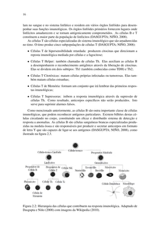 16
lam no sangue e no sistema linf´atico e residem em v´arios ´org˜aos linf´oides para desem-
penhar suas func¸˜oes imunol´ogicas. Os ´org˜aos linf´oides prim´arios fornecem lugares onde
linf´ocitos amadurecem e se tornam antigenicamente comprometidos. As c´elulas B e T
constituem a maior parte da populac¸˜ao de linf´ocitos (DASGUPTA; NI ˜NO, 2008).
As c´elulas T s˜ao c´elulas especializadas do sistema imunol´ogico que s˜ao amadurecidas
no timo. O timo produz cinco subpopulac¸˜oes de c´elulas T (DASGUPTA; NI ˜NO, 2008):
• C´elulas T de hipersensibilidade retardada: produzem citocinas que direcionam a
reposta imunol´ogica mediada por c´elulas e a fagocitose;
• C´elulas T Helper: tamb´em chamadas de c´elulas Th. Elas auxiliam as c´elulas B
a desempenharem o reconhecimento antigˆenico atrav´es da liberac¸˜ao de citocinas.
Elas se dividem em dois subtipos: Th1 (tamb´em conhecidas como TDH) e Th2;
• C´elulas T Citot´oxicas: matam c´elulas pr´oprias infectadas ou tumorosas. Elas tam-
b´em matam c´elulas estranhas;
• C´elulas T de Mem´oria: formam um conjunto que ir´a lembrar das primeiras respos-
tas imunol´ogicas;
• C´elulas T Supressoras: inibem a resposta imunol´ogica atrav´es da supress˜ao de
c´elulas Th. Como resultado, anticorpos espec´ıﬁcos n˜ao ser˜ao produzidos. Isto
serve para suprimir alarmes falsos.
Como mencionado anteriormente, as c´elulas B s˜ao outra importante classe de c´elulas
imunol´ogicas, que podem reconhecer ant´ıgenos particulares. Existem bilh˜oes destas c´e-
lulas circulando no corpo, constituindo um eﬁcaz e distribu´ıdo sistema de detecc¸˜ao e
resposta a anomalias. As c´elulas B s˜ao c´elulas sangu´ıneas brancas especializadas produ-
zidas na medula ´ossea e s˜ao respons´aveis por produzir e secretar anticorpos em formato
de letra Y que s˜ao capazes de ligar-se aos ant´ıgenos (DASGUPTA; NI ˜NO, 2008), como
ilustrado na ﬁgura 2.3.
Figura 2.2: Hierarquia das c´elulas que contribuem na resposta imunol´ogica. Adaptado de
Dasgupta e Ni˜no (2008) com imagens da Wikipedia (2010).
 