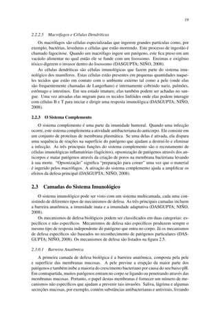 19
2.2.2.5 Macr´ofagos e C´elulas Dendr´ıticas
Os macr´ofagos s˜ao c´elulas especializadas que ingerem grandes part´ıculas como, por
exemplo, bact´erias, leveduras e c´elulas que est˜ao morrendo. Este processo de ingest˜ao ´e
chamado fagocitose. Quando um macr´ofago ingere um pat´ogeno, este ﬁca preso em um
vac´uolo alimentar no qual ent˜ao ele se funde com um lisossomo. Enzimas e oxigˆenio
t´oxico digerem o invasor dentro do lisossomo (DASGUPTA; NI ˜NO, 2008).
As c´elulas dendr´ıticas s˜ao c´elulas imunol´ogicas que fazem parte do sistema imu-
nol´ogico dos mam´ıferos. Estas c´elulas est˜ao presentes em pequenas quantidades naque-
les tecidos que est˜ao em contato com o ambiente externo tal como a pele (onde elas
s˜ao frequentemente chamadas de Langerhans) e internamente cobrindo nariz, pulm˜oes,
estˆomago e intestinos. Em seu estado imaturo, elas tamb´em podem ser achadas no san-
gue. Uma vez ativadas elas migram para os tecidos linf´oides onde elas podem interagir
com c´elulas B e T para iniciar e dirigir uma resposta imunol´ogica (DASGUPTA; NI ˜NO,
2008).
2.2.3 O Sistema Complemento
O sistema complemento ´e uma parte da imunidade humoral. Quando uma infecc¸˜ao
ocorre, este sistema complementa a atividade antibacteriana do anticorpo. Ele consiste em
um conjunto de prote´ınas de membrana plasm´atica. Se uma delas ´e ativada, ela dispara
uma sequˆencia de reac¸˜oes na superf´ıcie do pat´ogeno que ajudam a destru´ı-lo e eliminar
a infecc¸˜ao. As trˆes principais func¸˜oes do sistema complemento s˜ao o recrutamento de
c´elulas imunol´ogicas inﬂamat´orias (fag´ocitos), opsonizac¸˜ao de pat´ogenos atrav´es dos an-
ticorpos e matar pat´ogenos atrav´es da criac¸˜ao de poros na membrana bacteriana levando
`a sua morte. “Opsonizac¸˜ao” signiﬁca “preparac¸˜ao para comer” uma vez que o material
´e ingerido pelos macr´ofagos. A ativac¸˜ao do sistema complemento ajuda a ampliﬁcar os
efeitos da defesa principal (DASGUPTA; NI ˜NO, 2008).
2.3 Camadas do Sistema Imunol´ogico
O sistema imunol´ogico pode ser visto com um sistema multicamada, cada uma con-
sistindo de diferentes tipos de mecanismos de defesa. As trˆes principais camadas incluem
a barreira anatˆomica, a imunidade inata e a imunidade adaptativa (DASGUPTA; NI ˜NO,
2008).
Os mecanismos de defesa biol´ogicos podem ser classiﬁcados em duas categorias: es-
pec´ıﬁcos e n˜ao espec´ıﬁcos. Mecanismos de defesa n˜ao espec´ıﬁcos produzem sempre o
mesmo tipo de resposta independente do pat´ogeno que entra no corpo. J´a os mecanismos
de defesa espec´ıﬁcos s˜ao baseados no reconhecimento de pat´ogenos particulares (DAS-
GUPTA; NI ˜NO, 2008). Os mecanismos de defesa s˜ao listados na ﬁgura 2.5.
2.3.0.1 Barreira Anatˆomica
A primeira camada de defesa biol´ogica ´e a barreira anatˆomica, composta pela pele
e superf´ıcie das membranas mucosas. A pele previne a erupc¸˜ao da maior parte dos
pat´ogenos e tamb´em inibe a maioria do crescimento bacteriano por causa do seu baixo pH.
Em contrapartida, muitos pat´ogenos entram no corpo se ligando ou penetrando atrav´es das
membranas mucosas. Portanto, o papel destas membranas ´e fornecer um n´umero de me-
canismos n˜ao espec´ıﬁcos que ajudam a prevenir tais invas˜oes. Saliva, l´agrima e algumas
secrec¸˜oes mucosas, por exemplo, cont´em substˆancias antibacterianas e antivirais, livrando
 