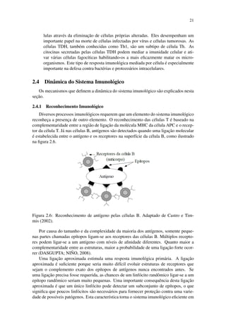 21
lulas atrav´es da eliminac¸˜ao de c´elulas pr´oprias alteradas. Eles desempenham um
importante papel na morte de c´elulas infectadas por v´ırus e c´elulas tumorosas. As
c´elulas TDH, tamb´em conhecidas como Th1, s˜ao um subtipo de c´elula Th. As
citocinas secretadas pelas c´elulas TDH podem mediar a imunidade celular e ati-
var v´arias c´elulas fagoc´ıticas habilitando-os a mais eﬁcazmente matar os micro-
organismos. Este tipo de resposta imunol´ogica mediada por c´elula ´e especialmente
importante na defesa contra bact´erias e protozo´arios intracelulares.
2.4 Dinˆamica do Sistema Imunol´ogico
Os mecanismos que deﬁnem a dinˆamica do sistema imunol´ogico s˜ao explicados nesta
sec¸˜ao.
2.4.1 Reconhecimento Imunol´ogico
Diversos processos imunol´ogicos requerem que um elemento do sistema imunol´ogico
reconhec¸a a presenc¸a de outro elemento. O reconhecimento das c´elulas T ´e baseado na
complementaridade entre a regi˜ao de ligac¸˜ao da mol´ecula MHC da c´elula APC e o recep-
tor da c´elula T. J´a nas c´elulas B, ant´ıgenos s˜ao detectados quando uma ligac¸˜ao molecular
´e estabelecida entre o ant´ıgeno e os receptores na superf´ıcie da c´elula B, como ilustrado
na ﬁgura 2.6.
Figura 2.6: Reconhecimento de ant´ıgeno pelas c´elulas B. Adaptado de Castro e Tim-
mis (2002).
Por causa do tamanho e da complexidade da maioria dos ant´ıgenos, somente peque-
nas partes chamadas ep´ıtopos ligam-se aos receptores das c´elulas B. M´ultiplos recepto-
res podem ligar-se a um ant´ıgeno com n´ıveis de aﬁnidade diferentes. Quanto maior a
complementaridade entre as estruturas, maior a probabilidade de uma ligac¸˜ao forte ocor-
rer (DASGUPTA; NI ˜NO, 2008).
Uma ligac¸˜ao aproximada estimula uma resposta imunol´ogica prim´aria. A ligac¸˜ao
aproximada ´e suﬁciente porque seria muito dif´ıcil evoluir estruturas de receptores que
sejam o complemento exato dos ep´ıtopos de ant´ıgenos nunca encontrados antes. Se
uma ligac¸˜ao precisa fosse requerida, as chances de um linf´ocito randˆomico ligar-se a um
ep´ıtopo randˆomico seriam muito pequenas. Uma importante consequˆencia desta ligac¸˜ao
aproximada ´e que um ´unico linf´ocito pode detectar um subconjunto de ep´ıtopos, o que
signiﬁca que poucos linf´ocitos s˜ao necess´arios para fornecer protec¸˜ao contra uma varie-
dade de poss´ıveis pat´ogenos. Esta caracter´ıstica torna o sistema imunol´ogico eﬁciente em
 