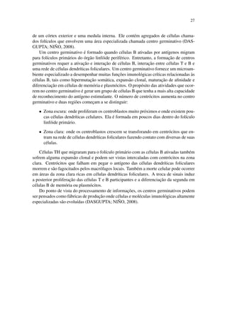 27
de um c´ortex exterior e uma medula interna. Ele cont´em agregados de c´elulas chama-
dos fol´ıculos que envolvem uma ´area especializada chamada centro germinativo (DAS-
GUPTA; NI ˜NO, 2008).
Um centro germinativo ´e formado quando c´elulas B ativadas por ant´ıgenos migram
para fol´ıculos prim´arios do ´org˜ao linf´oide perif´erico. Entretanto, a formac¸˜ao de centros
germinativos requer a ativac¸˜ao e interac¸˜ao de c´elulas B, interac¸˜ao entre c´elulas T e B e
uma rede de c´elulas dendr´ıticas foliculares. Um centro germinativo fornece um microam-
biente especializado a desempenhar muitas func¸˜oes imunol´ogicas cr´ıticas relacionadas `as
c´elulas B, tais como hipermutac¸˜ao som´atica, expans˜ao clonal, maturac¸˜ao de aﬁnidade e
diferenciac¸˜ao em c´elulas de mem´oria e plasm´ocitos. O prop´osito das atividades que ocor-
rem no centro germinativo ´e gerar um grupo de c´elulas B que tenha a mais alta capacidade
de reconhecimento do ant´ıgeno estimulante. O n´umero de centr´ocitos aumenta no centro
germinativo e duas regi˜oes comec¸am a se distinguir:
• Zona escura: onde proliferam os centroblastos muito pr´oximos e onde existem pou-
cas c´elulas dendr´ıticas celulares. Ela ´e formada em poucos dias dentro do fol´ıculo
linf´oide prim´ario.
• Zona clara: onde os centroblastos crescem se transforando em centr´ocitos que en-
tram na rede de c´elulas dendr´ıticas foliculares fazendo contato com diversas de suas
c´elulas.
C´elulas TH que migraram para o fol´ıculo prim´ario com as c´elulas B ativadas tamb´em
sofrem alguma expans˜ao clonal e podem ser vistas intercaladas com centr´ocitos na zona
clara. Centr´ocitos que falham em pegar o ant´ıgeno das c´elulas dendr´ıticas foliculares
morrem e s˜ao fagocitados pelos macr´ofagos locais. Tamb´em a morte celular pode ocorrer
em ´areas da zona clara ricas em c´elulas dendr´ıticas foliculares. A troca de sinais induz
a posterior proliferac¸˜ao das c´elulas T e B participantes e a diferenciac¸˜ao da segunda em
c´elulas B de mem´oria ou plasm´ocitos.
Do ponto de vista do processamento de informac¸˜oes, os centros germinativos podem
ser pensados como f´abricas de produc¸˜ao onde c´elulas e mol´eculas imunol´ogicas altamente
especializadas s˜ao evolu´ıdas (DASGUPTA; NI ˜NO, 2008).
 