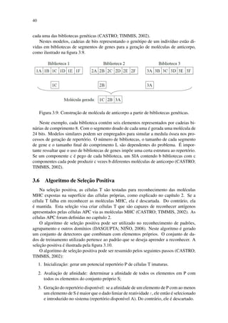 40
cada uma das bibliotecas gen´eticas (CASTRO; TIMMIS, 2002).
Nestes modelos, cadeias de bits representando o gen´otipo de um indiv´ıduo est˜ao di-
vidas em bibliotecas de segmentos de genes para a gerac¸˜ao de mol´eculas de anticorpo,
como ilustrado na ﬁgura 3.9.
Figura 3.9: Construc¸˜ao de mol´ecula de anticorpo a partir de bibliotecas gen´eticas.
Neste exemplo, cada biblioteca cont´em seis elementos representados por cadeias bi-
n´arias de comprimento 8. Com o segmento doado de cada uma ´e gerada uma mol´ecula de
24 bits. Modelos similares podem ser empregados para simular a medula ´ossea nos pro-
cessos de gerac¸˜ao de repert´orio. O n´umero de bibliotecas, o tamanho de cada segmento
de gene e o tamanho ﬁnal do comprimento L s˜ao dependentes do problema. ´E impor-
tante ressaltar que o uso de bibliotecas de genes imp˜oe uma certa estrutura ao repert´orio.
Se um componente c ´e pego de cada biblioteca, um SIA contendo b bibliotecas com c
componentes cada pode produzir c vezes b diferentes mol´eculas de anticorpo (CASTRO;
TIMMIS, 2002).
3.6 Algoritmo de Selec¸˜ao Positiva
Na selec¸˜ao positiva, as c´elulas T s˜ao testadas para reconhecimento das mol´eculas
MHC expostas na superf´ıcie das c´elulas pr´oprias, como explicado no cap´ıtulo 2. Se a
c´elula T falha em reconhecer as mol´eculas MHC, ela ´e descartada. Do contr´ario, ela
´e mantida. Esta selec¸˜ao visa criar c´elulas T que s˜ao capazes de reconhecer ant´ıgenos
apresentados pelas c´elulas APC via as mol´eculas MHC (CASTRO; TIMMIS, 2002). As
c´elulas APC foram deﬁnidas no cap´ıtulo 2.
O algoritmo de selec¸˜ao positiva pode ser utilizado no reconhecimento de padr˜oes,
agrupamento e outros dom´ınios (DASGUPTA; NI ˜NO, 2008). Neste algoritmo ´e gerado
um conjunto de detectores que combinam com elementos pr´oprios. O conjunto de da-
dos de treinamento utilizado pertence ao padr˜ao que se deseja aprender a reconhecer. A
selec¸˜ao positiva ´e ilustrada pela ﬁgura 3.10.
O algoritmo de selec¸˜ao positiva pode ser resumido pelos seguintes passos (CASTRO;
TIMMIS, 2002):
1. Inicializac¸˜ao: gerar um potencial repert´orio P de c´elulas T imaturas.
2. Avaliac¸˜ao de aﬁnidade: determinar a aﬁnidade de todos os elementos em P com
todos os elementos do conjunto pr´oprio S;
3. Gerac¸˜ao do repert´orio dispon´ıvel: se a aﬁnidade de um elemento de P com ao menos
um elemento de S ´e maior que o dado limiar de reatividade ε, ele ent˜ao ´e selecionado
e introduzido no sistema (repert´orio dispon´ıvel A). Do contr´ario, ele ´e descartado.
 