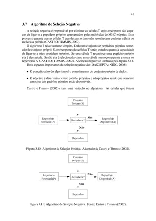 41
3.7 Algoritmo de Selec¸˜ao Negativa
A selec¸˜ao negativa ´e respons´avel por eliminar as c´elulas T cujos receptores s˜ao capa-
zes de ligar-se a pept´ıdeos pr´oprios apresentados pelas mol´eculas de MHC pr´oprias. Este
processo garante que as c´elulas T que deixam o timo n˜ao reconhecem qualquer c´elula ou
mol´ecula pr´opria (CASTRO; TIMMIS, 2002).
O algoritmo ´e relativamente simples. Dado um conjunto de pept´ıdeos pr´oprios nome-
ado de conjunto pr´oprio S, os receptores das c´elulas T ser˜ao testados quanto `a capacidade
de ligar-se a estes pept´ıdeos pr´oprios. Se uma c´elula T reconhece uma pept´ıdeo pr´oprio
ela ´e descartada. Sen˜ao ela ´e selecionada como uma c´elula imunocompetente e entra no
repert´orio A (CASTRO; TIMMIS, 2002). A selec¸˜ao negativa ´e ilustrada pela ﬁgura 3.11.
Dois aspectos importantes da selec¸˜ao negativa s˜ao (DASGUPTA; NI ˜NO, 2008):
• O conceito alvo do algoritmo ´e o complemento do conjunto pr´oprio de dados;
• O objetivo ´e discriminar entre padr˜oes pr´oprios e n˜ao pr´oprios sendo que somente
amostras dos padr˜oes pr´oprios est˜ao dispon´ıveis.
Castro e Timmis (2002) citam uma variac¸˜ao no algoritmo. As c´elulas que foram
Figura 3.10: Algoritmo de Selec¸˜ao Positiva. Adaptado de Castro e Timmis (2002).
Figura 3.11: Algoritmo de Selec¸˜ao Negativa. Fonte: Castro e Timmis (2002).
 