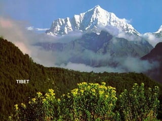 TIBET 