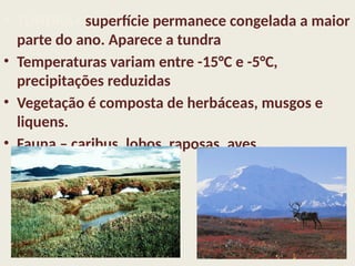 • TUNDRA– superfície permanece congelada a maior
parte do ano. Aparece a tundra
• Temperaturas variam entre -15°C e -5°C,
precipitações reduzidas
• Vegetação é composta de herbáceas, musgos e
liquens.
• Fauna – caribus, lobos, raposas, aves.
 
