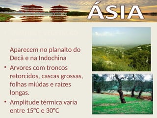 • SAVANAS E VEGETAÇÃO
MEDITERRÂNEA–
Aparecem no planalto do
Decã e na Indochina
• Arvores com troncos
retorcidos, cascas grossas,
folhas miúdas e raízes
longas.
• Amplitude térmica varia
entre 15°C e 30°C
 