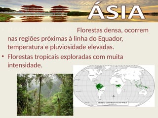 • FLORESTAS TROPICAIS– Florestas densa, ocorrem
nas regiões próximas à linha do Equador,
temperatura e pluviosidade elevadas.
• Florestas tropicais exploradas com muita
intensidade.
 