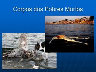 Corpos dos Pobres Mortos