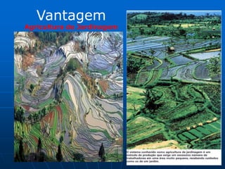 DesvantagemInundações