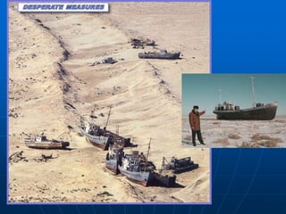 Possíveis soluções para evitar o desaparecimentoMelhoria da qualidade dos canais de irrigação .Instalação de plantas de dessalinização.A imposição de taxas aos agricultores para a utilização da água dos rios.Introdução de espécies alternativas de algodão, cujo cultivo requer menos água.A transferência de água desde os glaciares da Sibéria para substituir a água perdida no Aral.Uso de menos produtos químicos no processo de algodão.OBS: Atualmente, a porção norte do Mar de Aral está a recuperar, devido à construção do dique Kokaral, obra financiada pelo Banco Mundial para impedir que a água desta área flua para o mar;