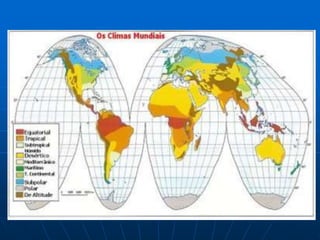 Florestas Pluviais Tropicais e Equatoriais Essas se localizam geograficamente, em geral, na América do Sul, América Central, África, Ásia e Oceania. Todas as regiões citadas possuem características semelhantes como clima quente e úmido, proporcionando assim o surgimento de grandes florestas com uma enorme riqueza de biodiversidade, essas são as áreas do planeta que concentram a maior parte dos seres vivos.