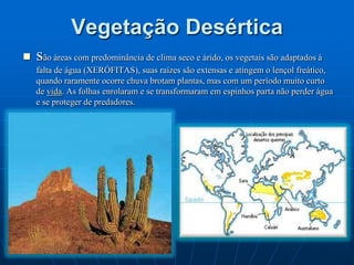 Ein Gedi, oásis as margens do Mar Morto.Aqui foi onde David se escondeu da ira do rei Saul.