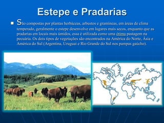 Climograma DesérticoClimograma Semiárido