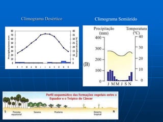 Floresta TemperadaEssa vegetação é encontrada principalmente no hemisfério norte, situada entre os trópicos e os círculos polares, os países que possuem esse tipo de florestas são Estados Unidos, Europa, Ásia e no Sul do Chile com climas temperados. As florestas temperadas são diferentes em relação às florestas tropicais, pois a primeira produz uma quantidade menor de variedade de plantas e animais. As florestas temperadas possuem características singulares, no inverno e outono as árvores perdem suas folhas, e por isso são denominadas de caducifólias.