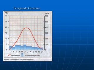 Florestas de Coníferas ou TaigaEssa vegetação (homogênea) é encontrada geograficamente em regiões com proximidade aos círculos polares, com características de clima com inverno bastante rigoroso. As coníferas são denominadas também de floresta boreal ou taiga, é composta por pinheiros em forma de cone.