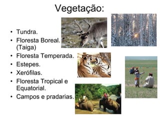 Vegetação: Tundra. Floresta Boreal.(Taiga) Floresta Temperada. Estepes. Xerófilas. Floresta Tropical e Equatorial. Campos e pradarias. 