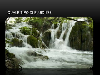 QUALE TIPO DI FLUIDI???

 