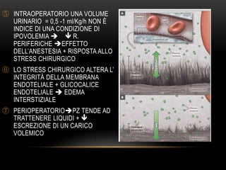 ⑤ INTRAOPERATORIO UNA VOLUME
URINARIO = 0,5 -1 ml/Kg/h NON È
INDICE DI UNA CONDIZIONE DI
IPOVOLEMIA   R.
PERIFERICHE EFFETTO
DELL’ANESTESIA + RISPOSTA ALLO
STRESS CHIRURGICO
⑥ LO STRESS CHIRURGICO ALTERA L’
INTEGRITÀ DELLA MEMBRANA
ENDOTELIALE + GLICOCALICE
ENDOTELIALE  EDEMA
INTERSTIZIALE
⑦ PERIOPERATORIOPZ TENDE AD
TRATTENERE LIQUIDI + 
ESCREZIONE DI UN CARICO
VOLEMICO

 