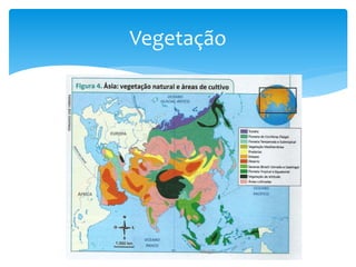 Vegetação 
 