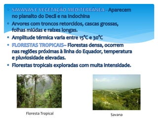 Floresta Tropical Savana 
 