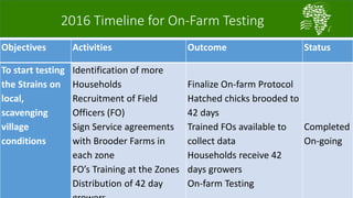 African Chicken Genetic Gains: ACGG-Nigeria report