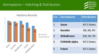 African Chicken Genetic Gains: ACGG-Nigeria report
