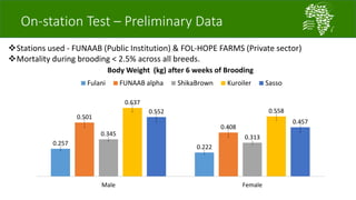 African Chicken Genetic Gains: ACGG-Nigeria report