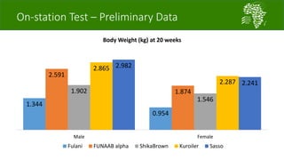 African Chicken Genetic Gains: ACGG-Nigeria report