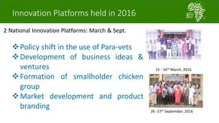 African Chicken Genetic Gains: ACGG-Nigeria report