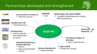 African Chicken Genetic Gains: ACGG-Nigeria report