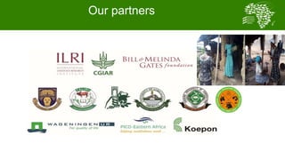 African Chicken Genetic Gains: ACGG-Nigeria report