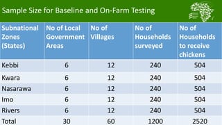 African Chicken Genetic Gains: ACGG-Nigeria report