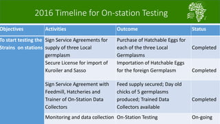 African Chicken Genetic Gains: ACGG-Nigeria report