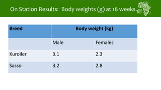 African Chicken Genetic Gains: Tanzania achievements todate