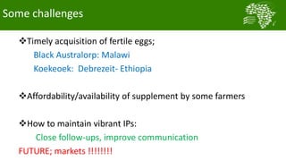 African Chicken Genetic Gains: Tanzania achievements todate