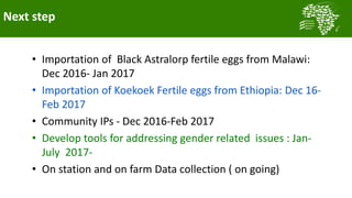 African Chicken Genetic Gains: Tanzania achievements todate