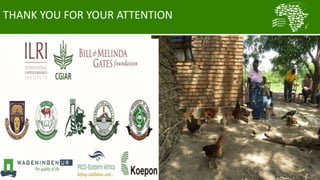 African Chicken Genetic Gains: Tanzania achievements todate