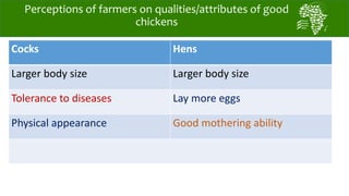 African Chicken Genetic Gains: Tanzania achievements todate