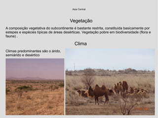 Vegetação
A composição vegetativa do subcontinente é bastante restrita, constituída basicamente por
estepes e espécies típicas de áreas desérticas. Vegetação pobre em biodiversidade (flora e
fauna) .
Clima
Climas predominantes são o árido,
semiárido e desértico
Asia Central
 